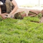 WhatsApp Image 2024-09-03 at 9.28.15 PM (1)