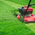 WhatsApp Image 2024-09-03 at 9.29.27 PM